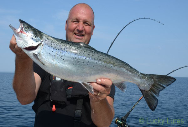 Guide Håkan Blomgren mit schönem Vättern Lachs.